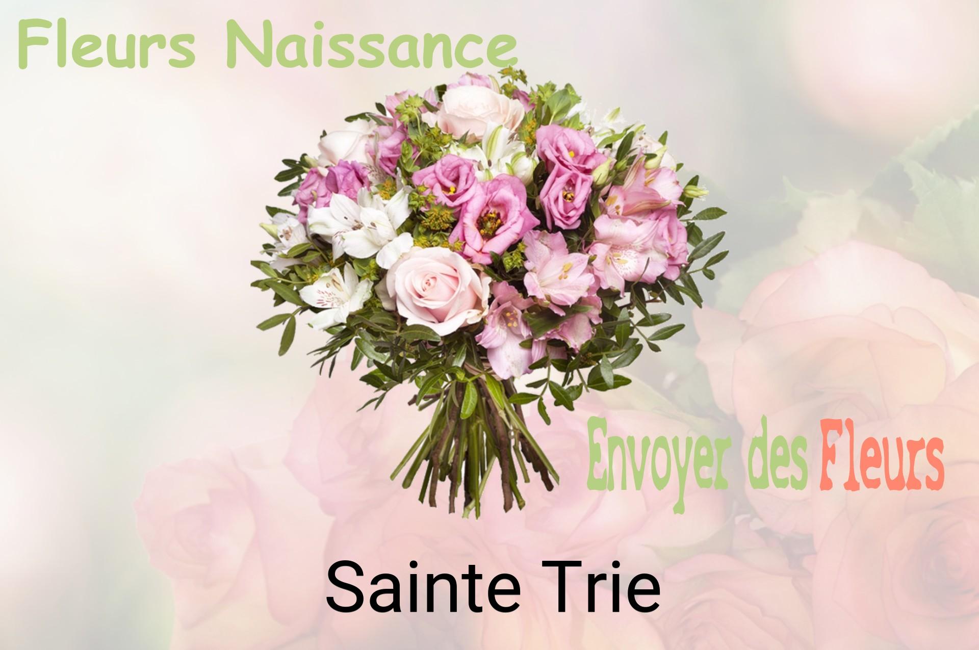Bouquet de fleurs de naissance livré à Sainte-Trie